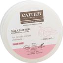 CATTIER Paris Shea Butter 100% Organic - 100 g