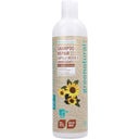 Shampoing Régénérant au Beurre de Karité & Tournesol - 400 ml