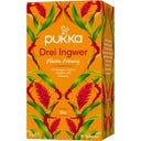 Pukka Three Ginger - 20 Stuks