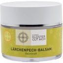 Europakloster Gut Aich Unguento al Larice - 50 ml