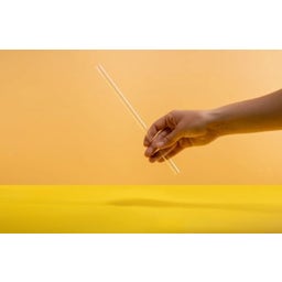 soulbottles Soulstraw - Gerade
