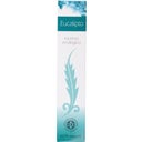 TAAMA Incense Sticks - Eucalyptus
