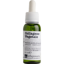 Botanical Collagen, 30 ml