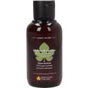 Biofficina Toscana Zypressen-Hydrolat - 100 ml