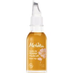 Melvita Organic Rose Hip Oil - 50 ml