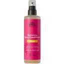 Urtekram Rose Spray Conditioner - 250 ml