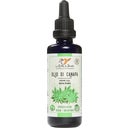 Le Erbe di Janas Hemp Oil - 50 ml