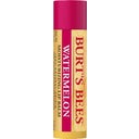 Burt's Bees Watermelon Lip Balm - 4,25 g