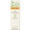 Burt's Bees Sensitive Daily Moisturizing Cream - 51 g