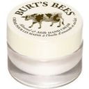 Burt's Bees Sensitive Daily Moisturizing Cream - 51 г