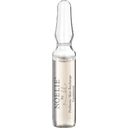 NOELIE Prebiotic Skin Recharge Treatment - 7 pièces