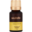 Soul Tree Everyday Radiance Essentials - 1 szett