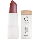 Couleur Caramel Glossy Lipstick - 243 Hibiscus