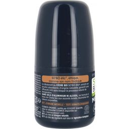 LÉA NATURE SO BiO étic MEN Roll-On deodorant s cedrem - 50 ml