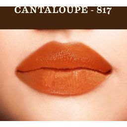 Soul Tree Lipstick - 817 Cantaloupe