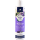 Lavender & Eucalyptus Shampoo, 250 ml