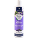 Alkemilla Eco Bio Cosmetic Šampón s eukalyptom a levanduľou