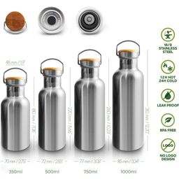 Insulated Stainless Steel Bottle, 750 ml  - Natural Steel