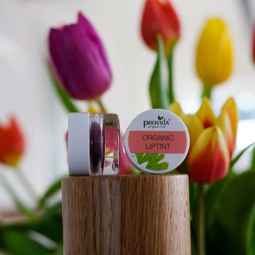 Provida Organics Organic Lipstick in a Jar