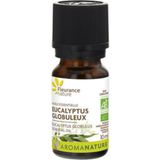 Huile Essentielle d'Eucalyptus Globuleux Bio