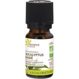 Ekološko eterično olje evkaliptusa radiate
