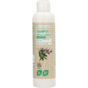 Hilseshampoo salvia & nokkonen, 250 ml