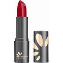 Lipstick, 210 Rouge Passion (3.5)