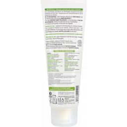 Šampon protiv prhuti - čajevac i bisabolol - 250 ml