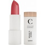 Couleur Caramel Bright Lipstick