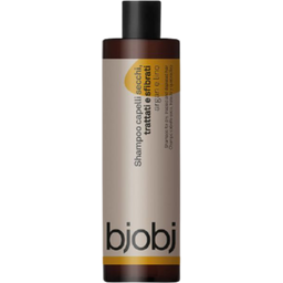 Bjobj Argan & Linseed Shampoo - 250 ml