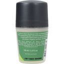 Urtekram Dezodorant w kulce Wild Lemongrass - 50 ml