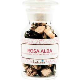 botania Premium Rosa Alba