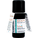 botania Olio Essenziale di Eucalipto Premium - 10 ml