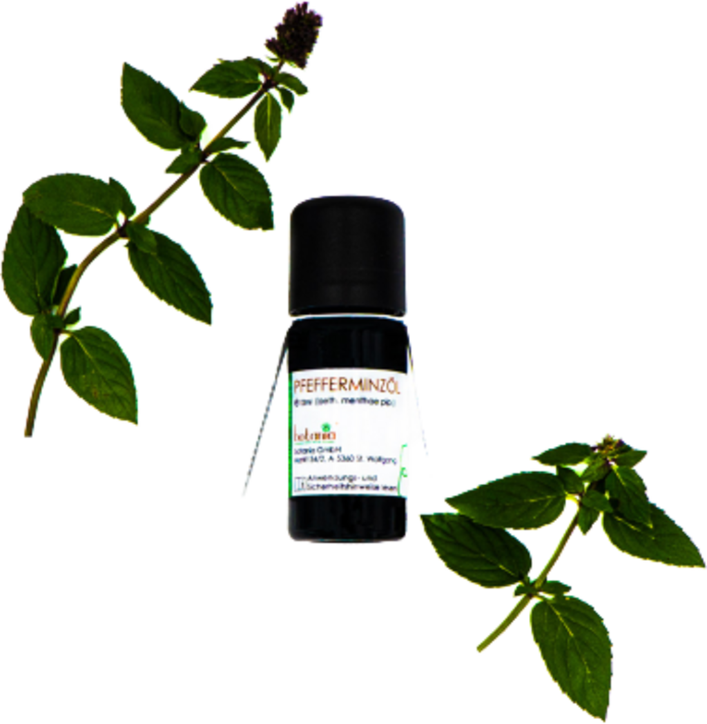 botania Prémium borsmenta olaj - 10 ml