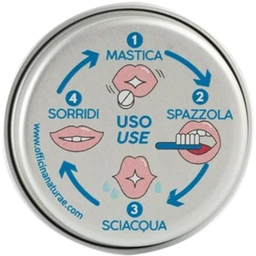 Officina Naturae Dentí Solid Toothpaste Mint - 21 unidades