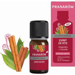 Pranarôm Bio Aromamischung 