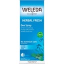Weleda Salvia Deodorant - 100 ml