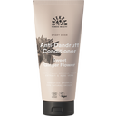 Sweet Ginger Flower Anti-Dandruff Conditioner, 180 ml