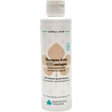 Biofficina Toscana SOS Chestnut Gentle Shampoo