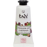 Tadé Pays du Levant Crema Mani