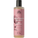 Urtekram Soft Wild Rose šampon - 250 ml