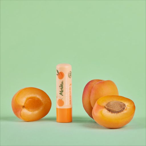 Melvita Softening Lip Balm - 3,50 g