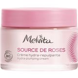 Melvita Hydra-plumping Cream
