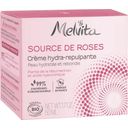 Melvita Hydra-aufpolsternde Gesichtscreme - 50 ml
