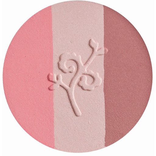 benecos Natural Trio Blush - rouge - fall in love