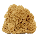 Cose della Natura Honeycomb-Naturschwamm - Groß, 12-14 g