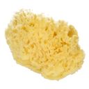 Koutouzis Natural Sea Sponges Spugna Naturale Honeycomb - M